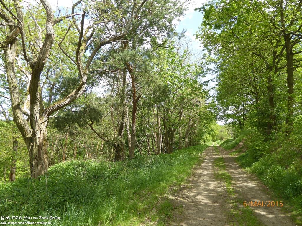 Philosophische Bildwanderung Loreley-Extratour im Mittelrheintal - Zum Superstar der Rheinromantik
