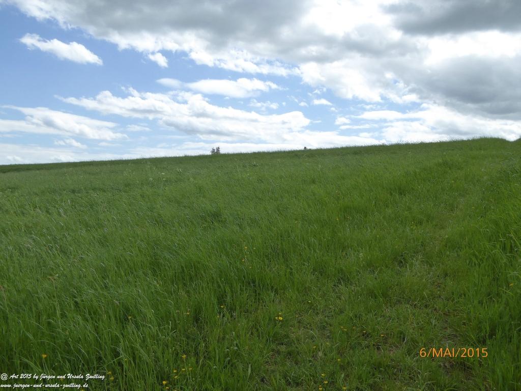 Philosophische Bildwanderung Loreley-Extratour im Mittelrheintal - Zum Superstar der Rheinromantik