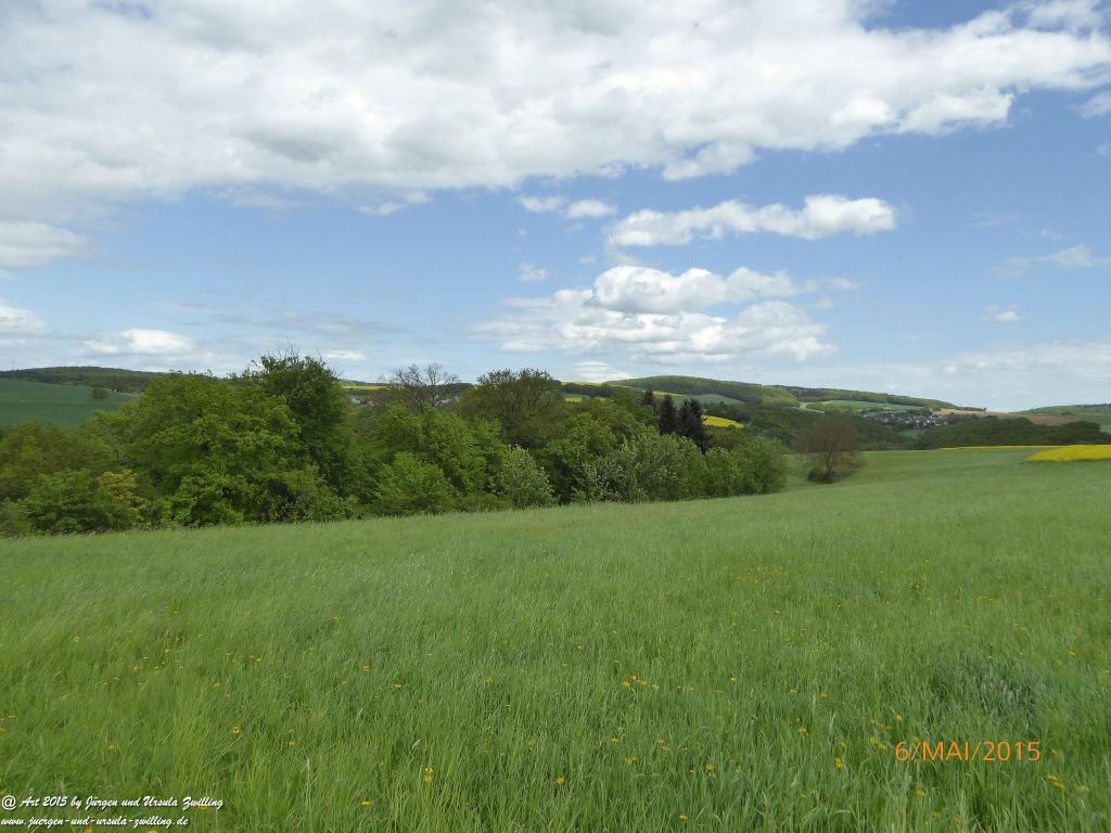 Philosophische Bildwanderung Loreley-Extratour im Mittelrheintal - Zum Superstar der Rheinromantik