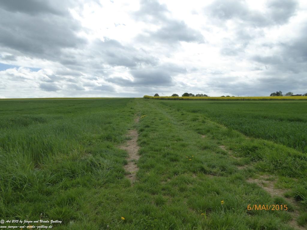 Philosophische Bildwanderung Loreley-Extratour im Mittelrheintal - Zum Superstar der Rheinromantik