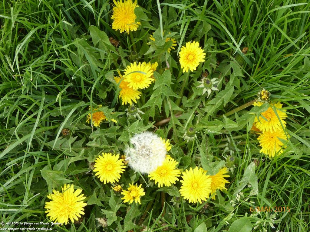 Philosophische Bildwanderung Loreley-Extratour im Mittelrheintal - Zum Superstar der Rheinromantik