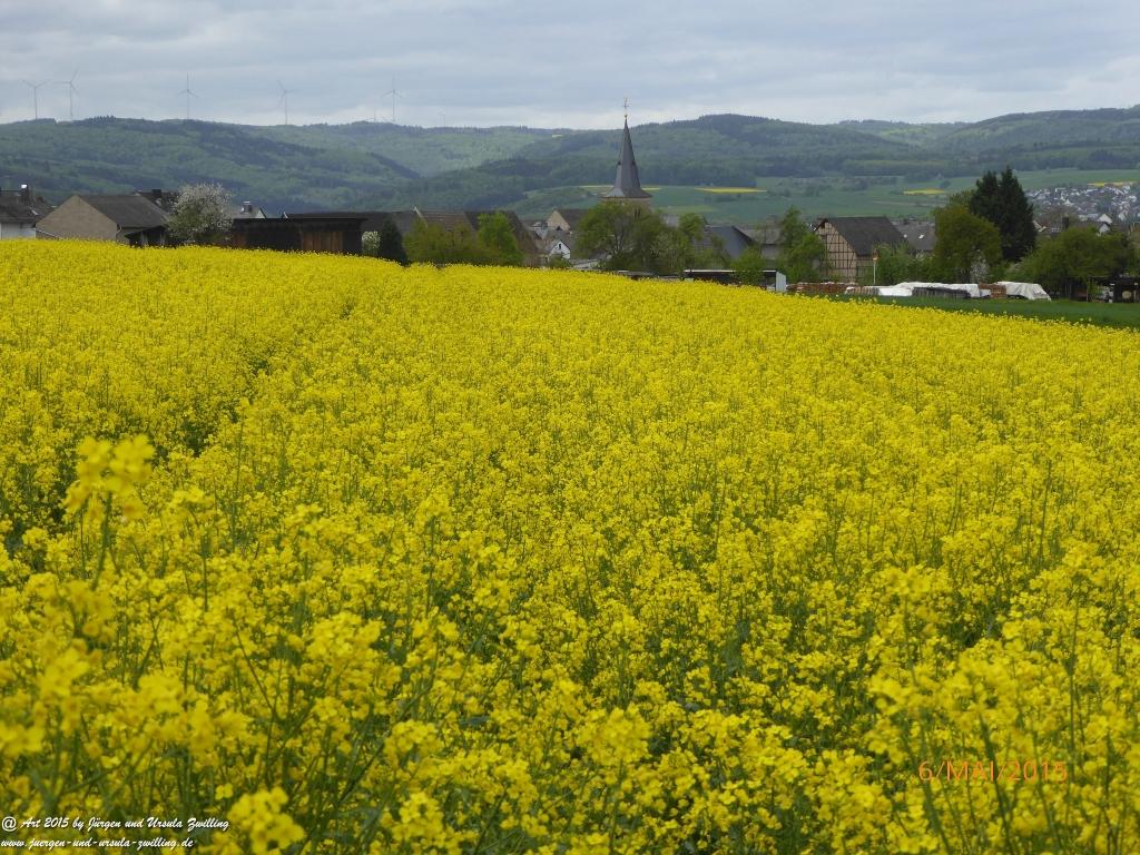 Philosophische Bildwanderung Loreley-Extratour im Mittelrheintal - Zum Superstar der Rheinromantik