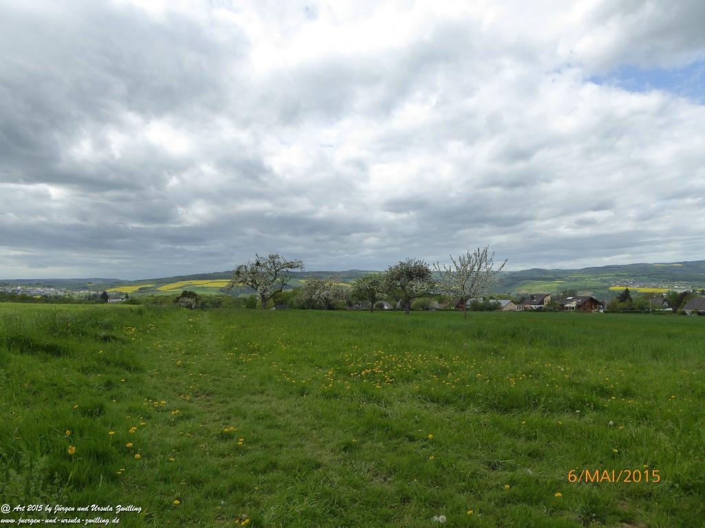 Philosophische Bildwanderung Loreley-Extratour im Mittelrheintal - Zum Superstar der Rheinromantik