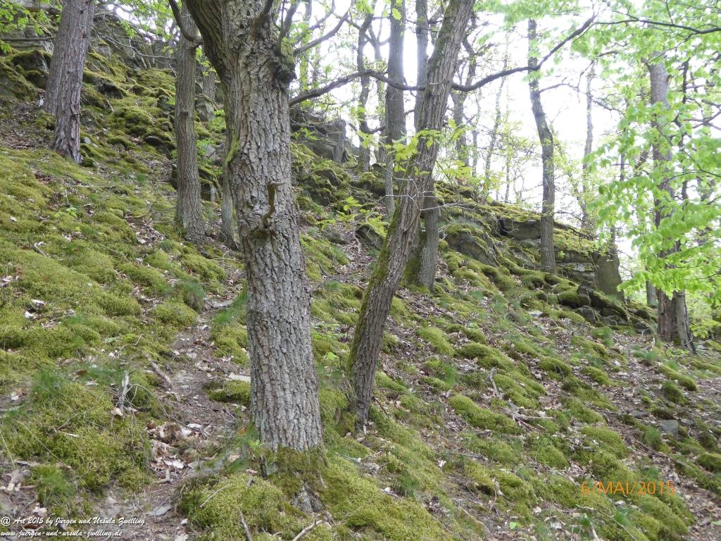 Philosophische Bildwanderung Loreley-Extratour im Mittelrheintal - Zum Superstar der Rheinromantik