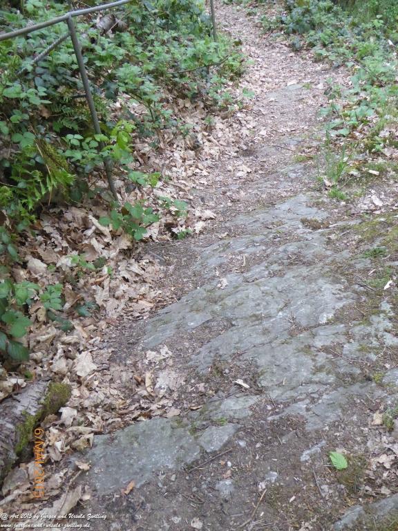 Philosophische Bildwanderung Loreley-Extratour im Mittelrheintal - Zum Superstar der Rheinromantik