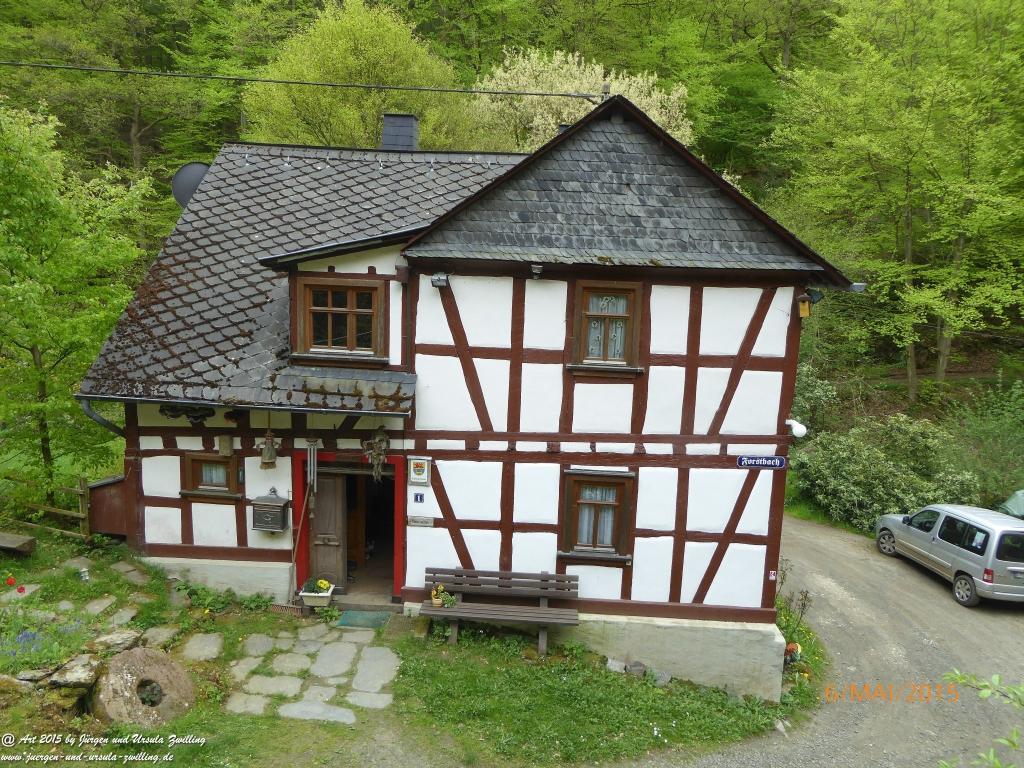 Philosophische Bildwanderung Loreley-Extratour im Mittelrheintal - Zum Superstar der Rheinromantik