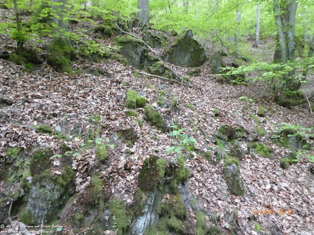 Philosophische Bildwanderung Loreley-Extratour im Mittelrheintal - Zum Superstar der Rheinromantik