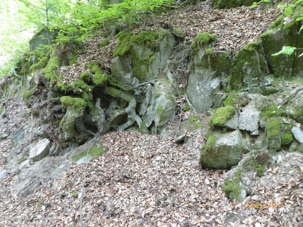Philosophische Bildwanderung Loreley-Extratour im Mittelrheintal - Zum Superstar der Rheinromantik