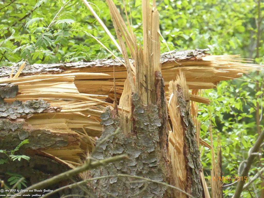 Philosophische Bildwanderung Loreley-Extratour im Mittelrheintal - Zum Superstar der Rheinromantik