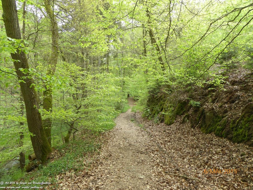 Philosophische Bildwanderung Loreley-Extratour im Mittelrheintal - Zum Superstar der Rheinromantik