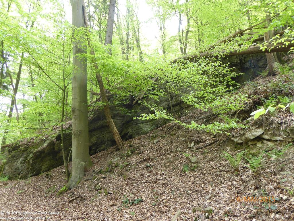 Philosophische Bildwanderung Loreley-Extratour im Mittelrheintal - Zum Superstar der Rheinromantik