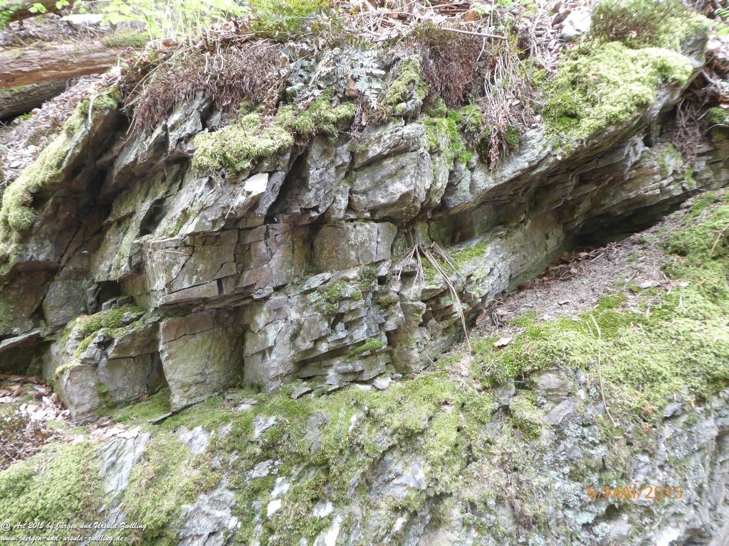 Philosophische Bildwanderung Loreley-Extratour im Mittelrheintal - Zum Superstar der Rheinromantik