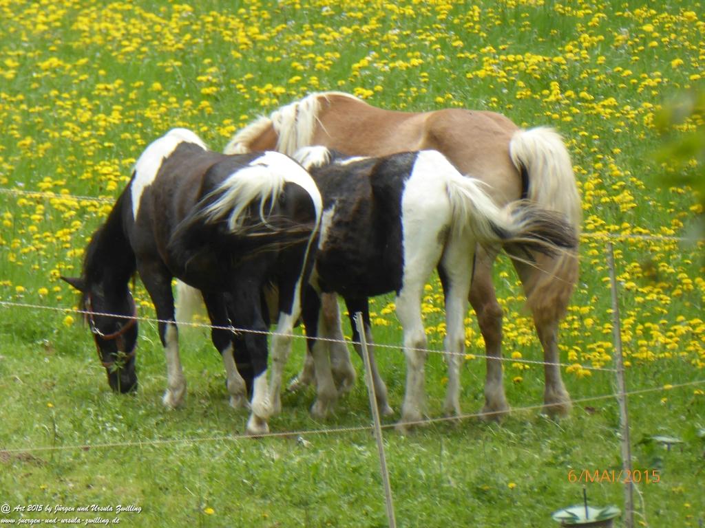 Philosophische Bildwanderung Loreley-Extratour im Mittelrheintal - Zum Superstar der Rheinromantik
