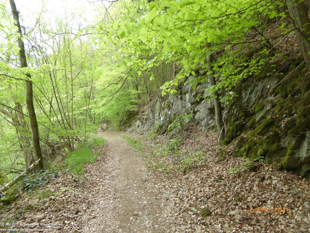 Philosophische Bildwanderung Loreley-Extratour im Mittelrheintal - Zum Superstar der Rheinromantik
