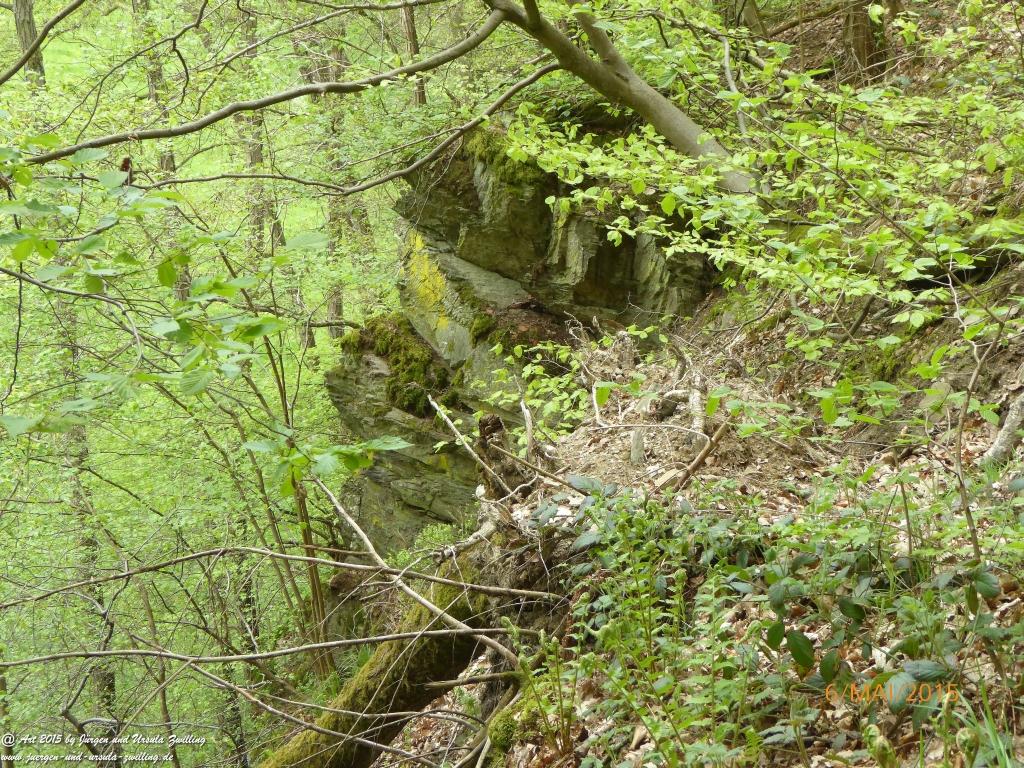Philosophische Bildwanderung Loreley-Extratour im Mittelrheintal - Zum Superstar der Rheinromantik