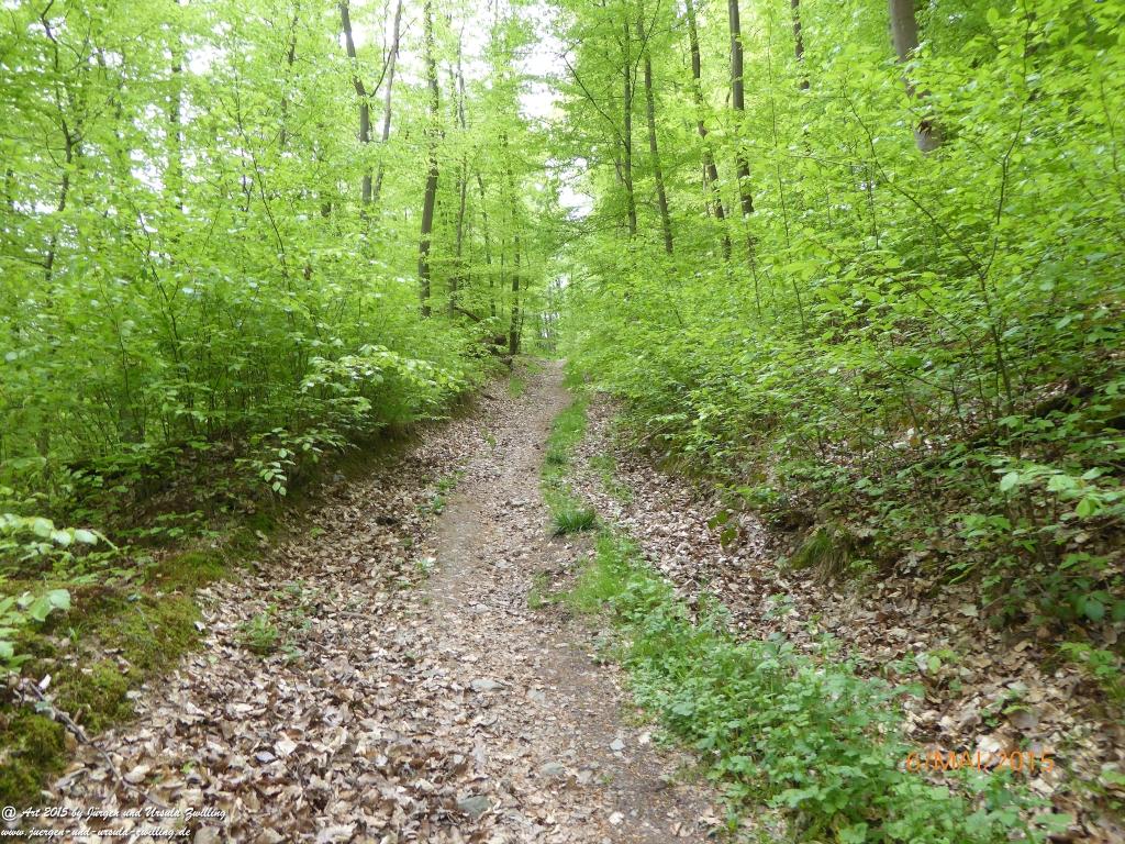 Philosophische Bildwanderung Loreley-Extratour im Mittelrheintal - Zum Superstar der Rheinromantik