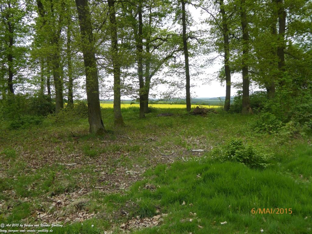Philosophische Bildwanderung Loreley-Extratour im Mittelrheintal - Zum Superstar der Rheinromantik