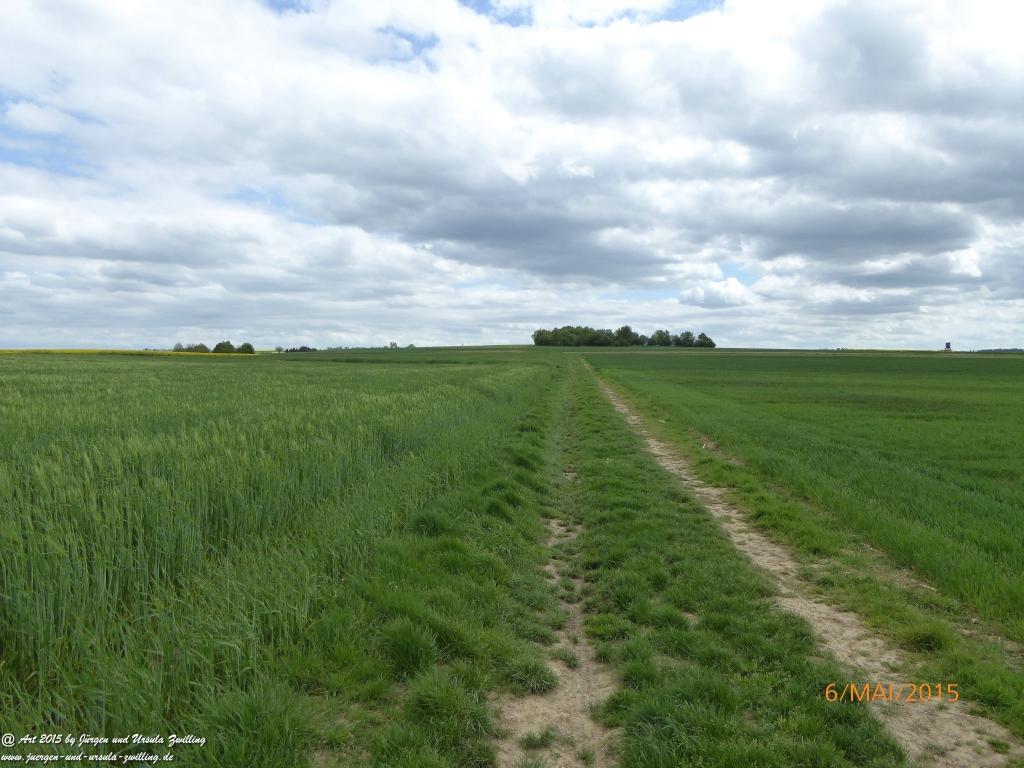 Philosophische Bildwanderung Loreley-Extratour im Mittelrheintal - Zum Superstar der Rheinromantik