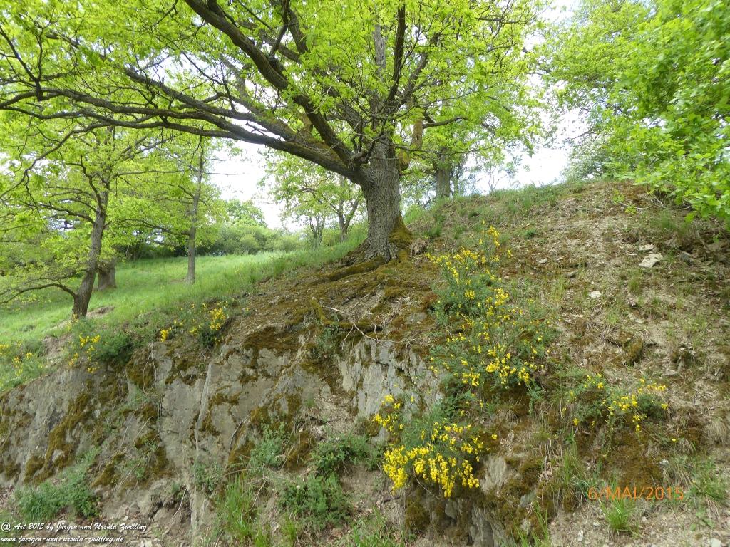 Philosophische Bildwanderung Loreley-Extratour im Mittelrheintal - Zum Superstar der Rheinromantik