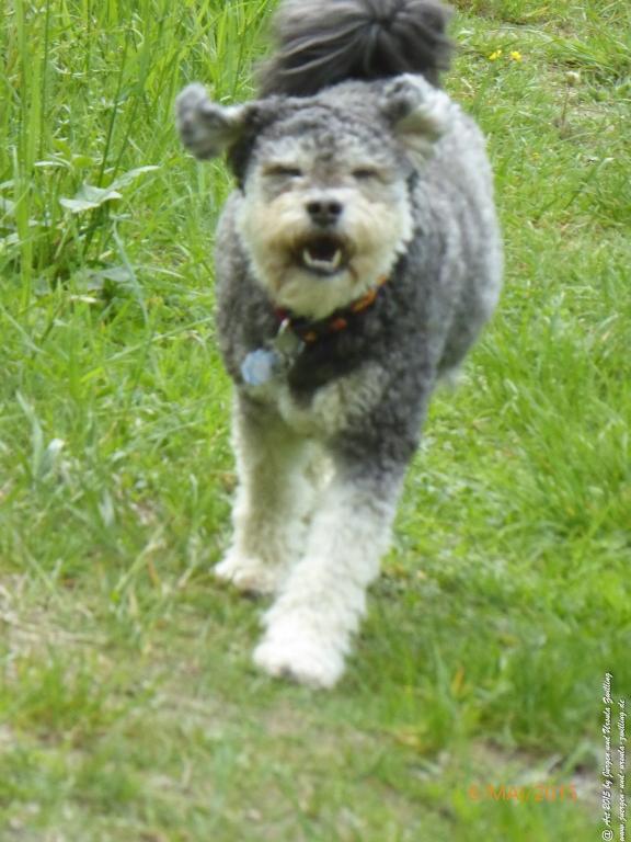 Philosophische Bildwanderung Loreley-Extratour im Mittelrheintal - Zum Superstar der Rheinromantik