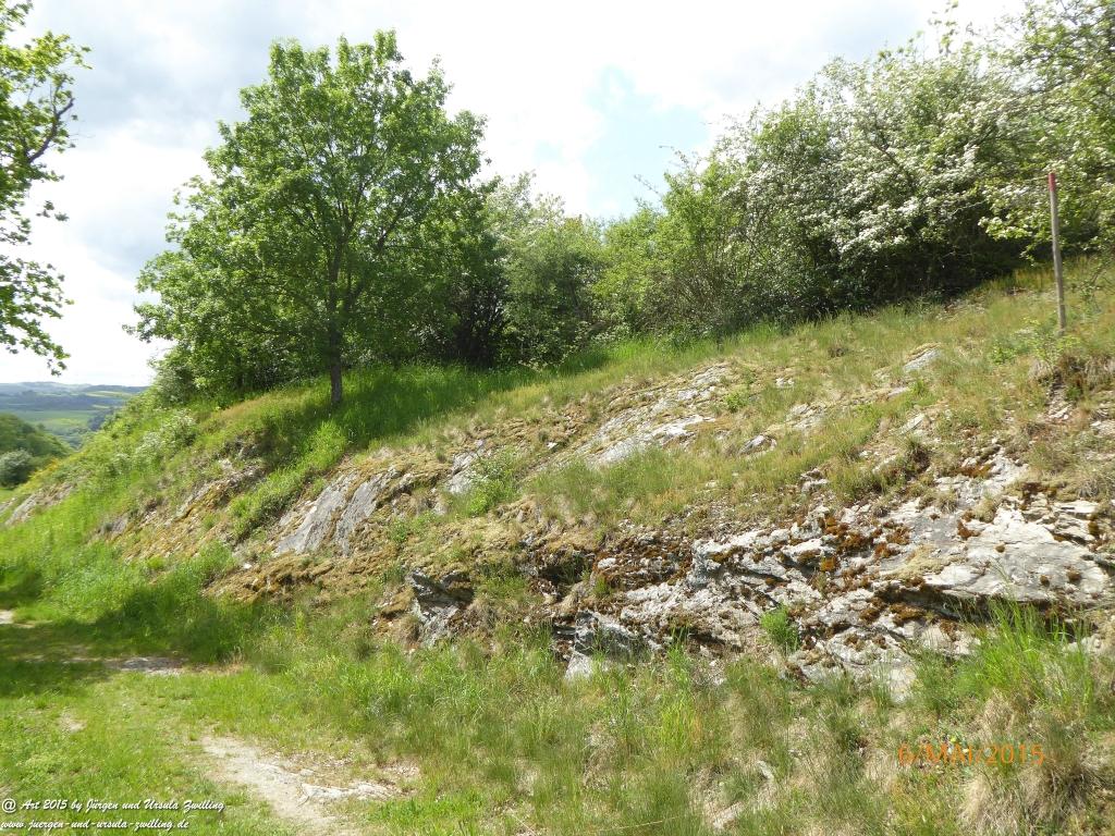 Philosophische Bildwanderung Loreley-Extratour im Mittelrheintal - Zum Superstar der Rheinromantik