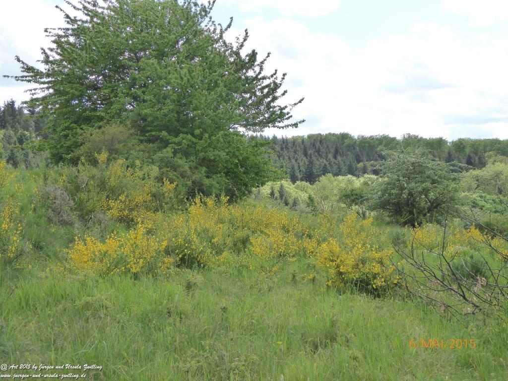Philosophische Bildwanderung Loreley-Extratour im Mittelrheintal - Zum Superstar der Rheinromantik