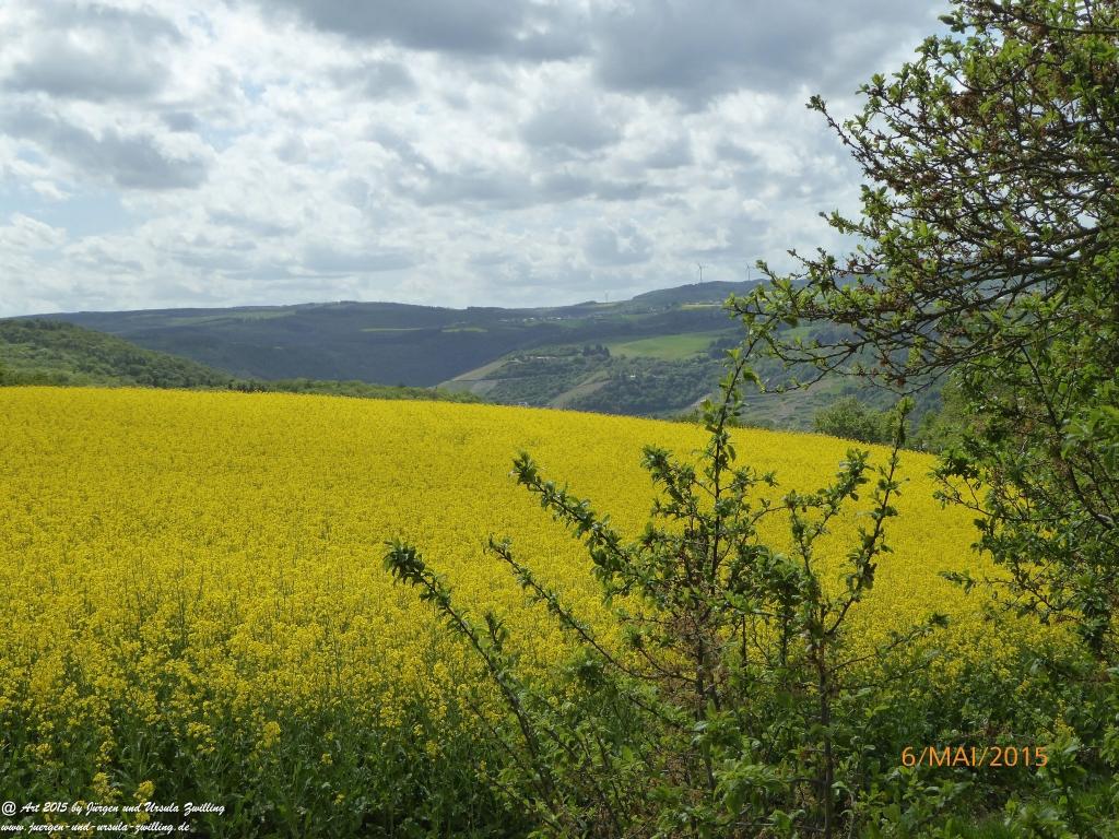 Philosophische Bildwanderung Loreley-Extratour im Mittelrheintal - Zum Superstar der Rheinromantik