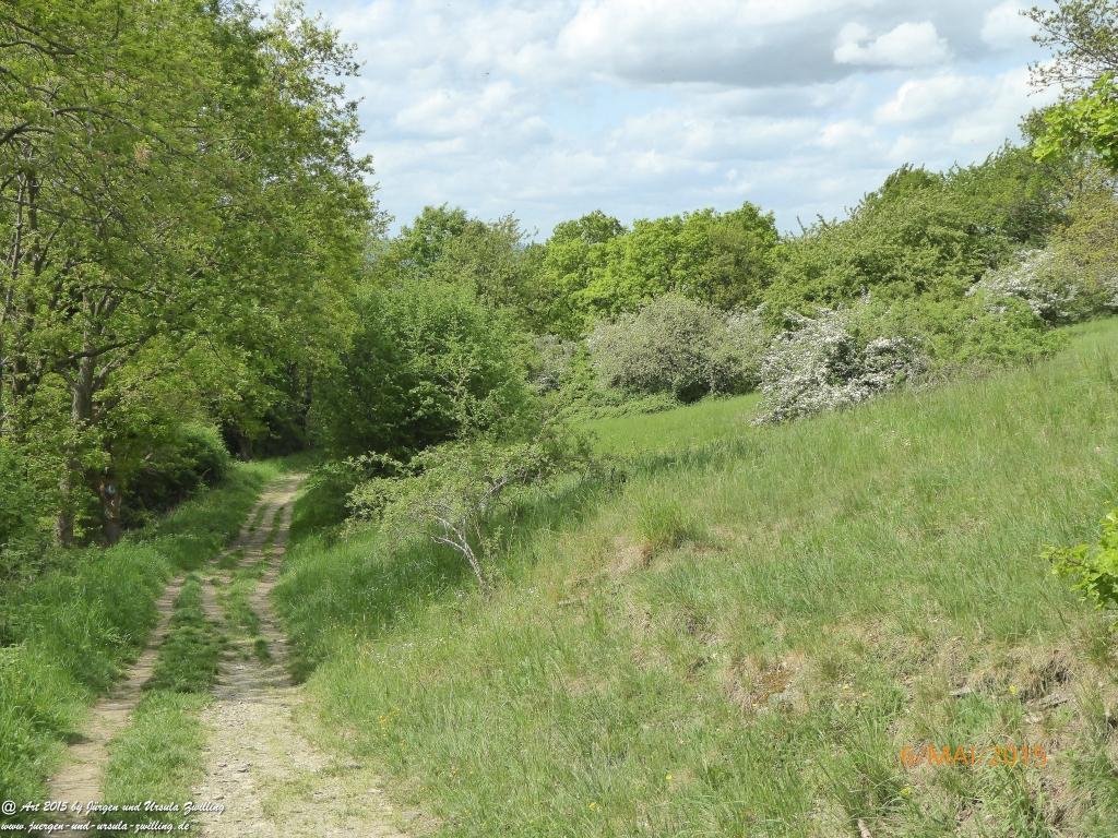 Philosophische Bildwanderung Loreley-Extratour im Mittelrheintal - Zum Superstar der Rheinromantik
