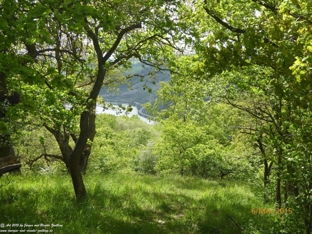 Philosophische Bildwanderung Loreley-Extratour im Mittelrheintal - Zum Superstar der Rheinromantik
