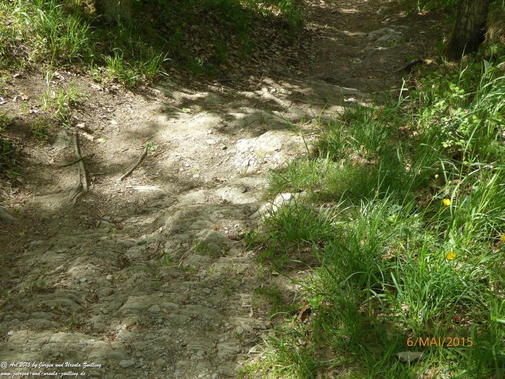 Philosophische Bildwanderung Loreley-Extratour im Mittelrheintal - Zum Superstar der Rheinromantik