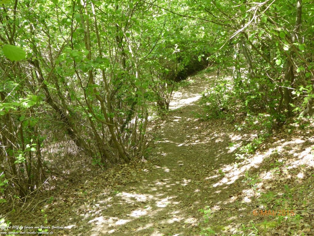 Philosophische Bildwanderung Loreley-Extratour im Mittelrheintal - Zum Superstar der Rheinromantik