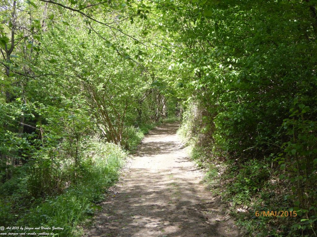 Philosophische Bildwanderung Loreley-Extratour im Mittelrheintal - Zum Superstar der Rheinromantik