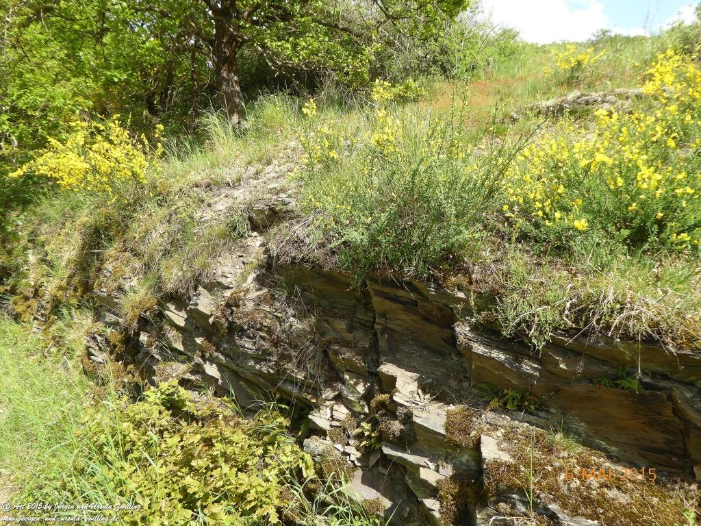 Philosophische Bildwanderung Loreley-Extratour im Mittelrheintal - Zum Superstar der Rheinromantik