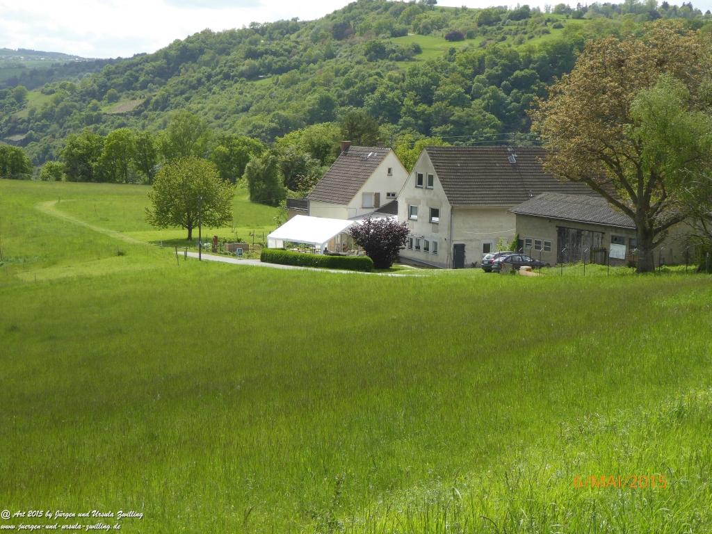 Philosophische Bildwanderung Loreley-Extratour im Mittelrheintal - Zum Superstar der Rheinromantik
