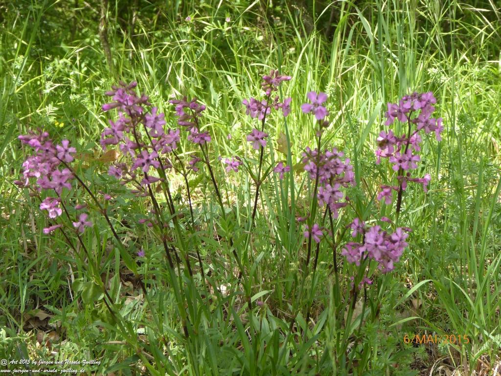 Philosophische Bildwanderung Loreley-Extratour im Mittelrheintal - Zum Superstar der Rheinromantik