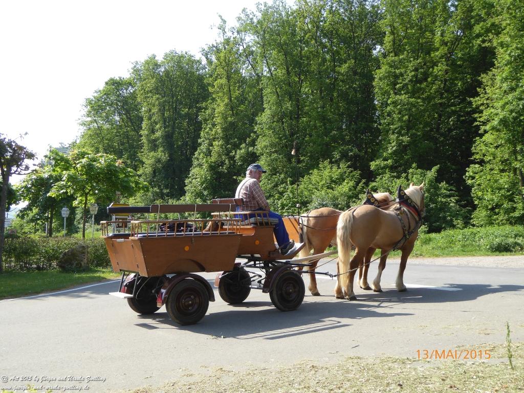Philosophische Bildwanderung Die Donnersberg-Felsen - Pfalz