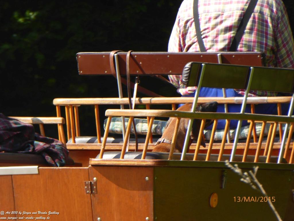 Philosophische Bildwanderung Die Donnersberg-Felsen - Pfalz