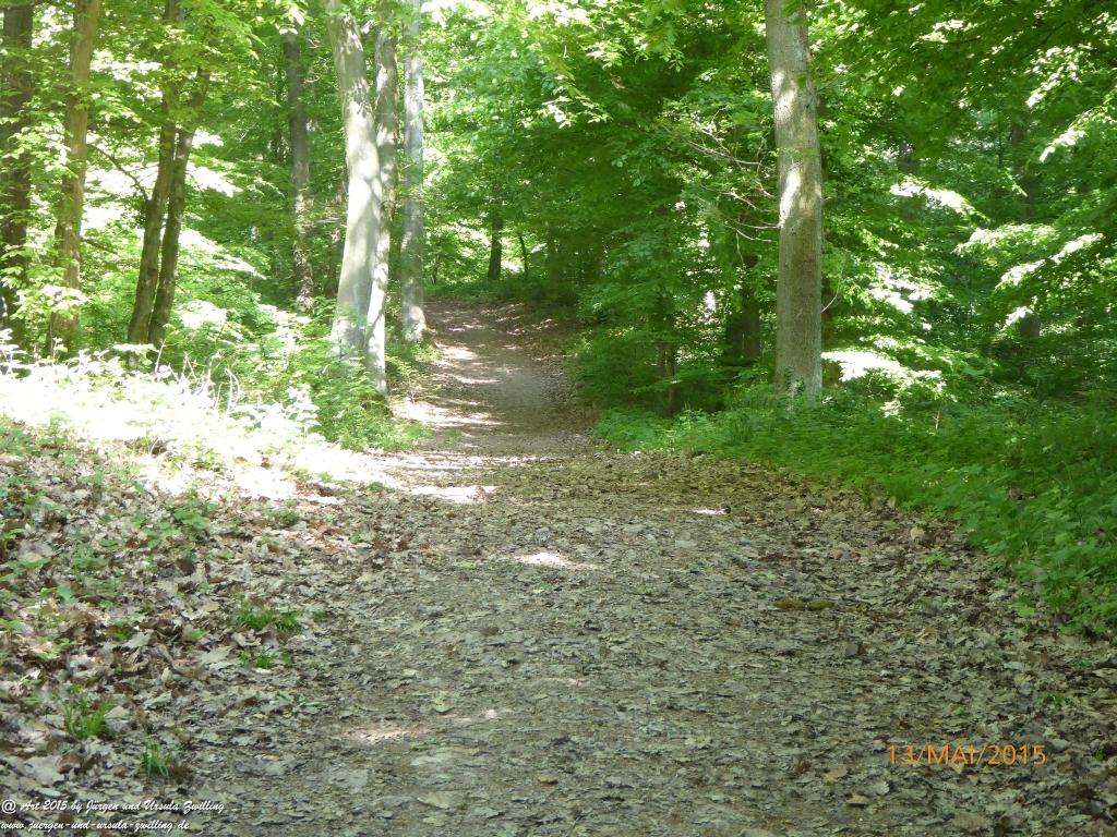 Philosophische Bildwanderung Die Donnersberg-Felsen - Pfalz