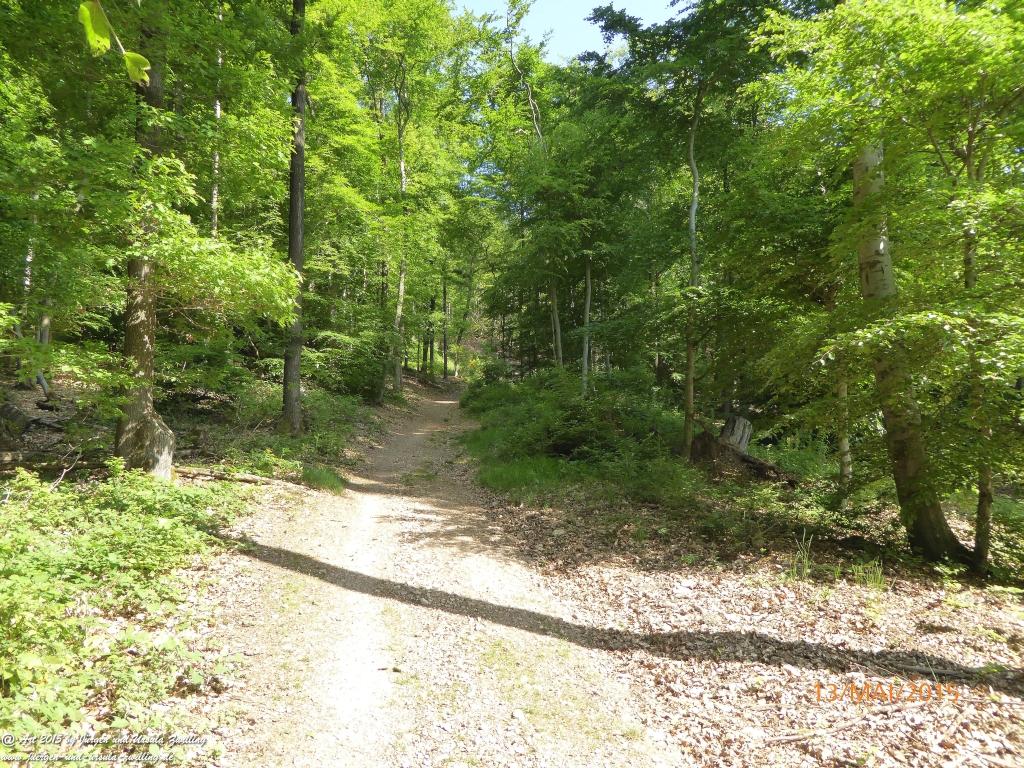 Philosophische Bildwanderung Die Donnersberg-Felsen - Pfalz