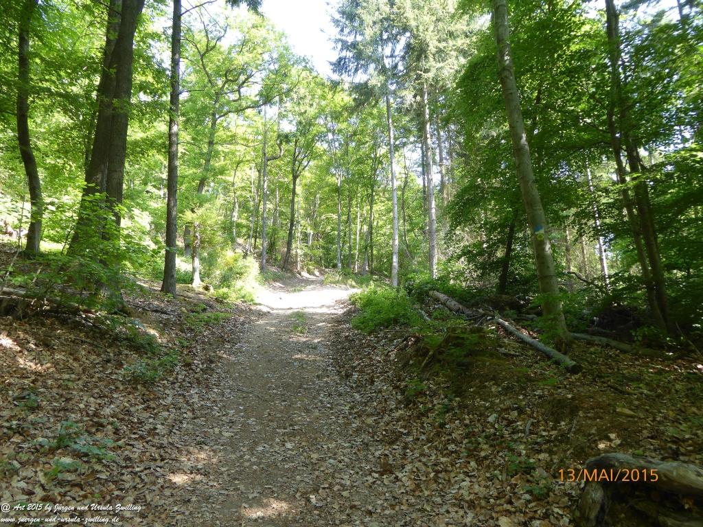 Philosophische Bildwanderung Die Donnersberg-Felsen - Pfalz