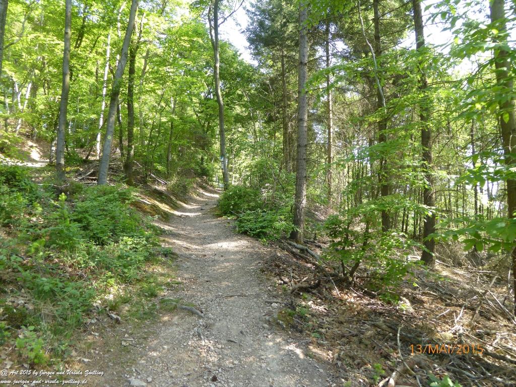 Philosophische Bildwanderung Die Donnersberg-Felsen - Pfalz