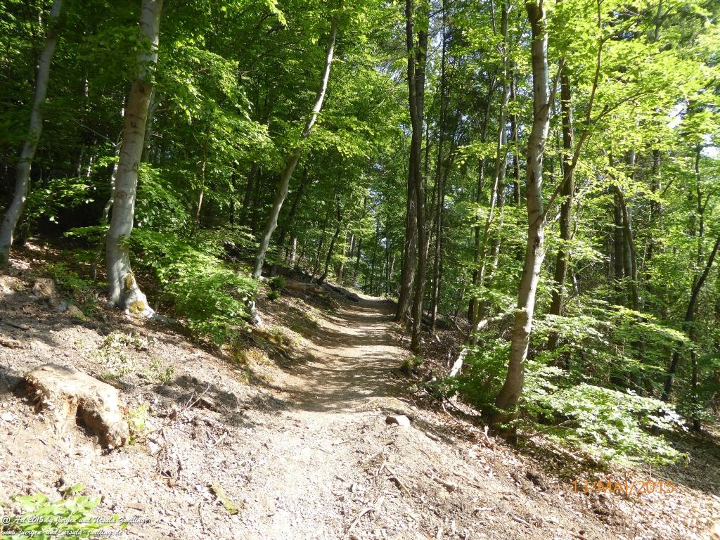 Philosophische Bildwanderung Die Donnersberg-Felsen - Pfalz
