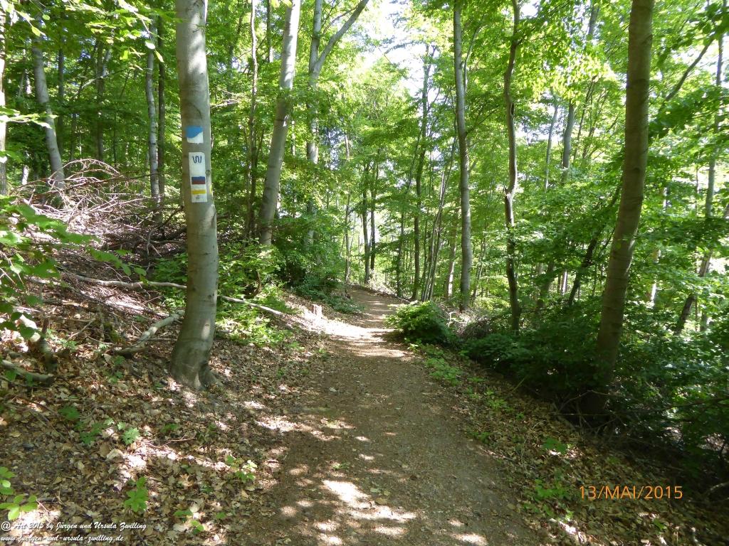 Philosophische Bildwanderung Die Donnersberg-Felsen - Pfalz