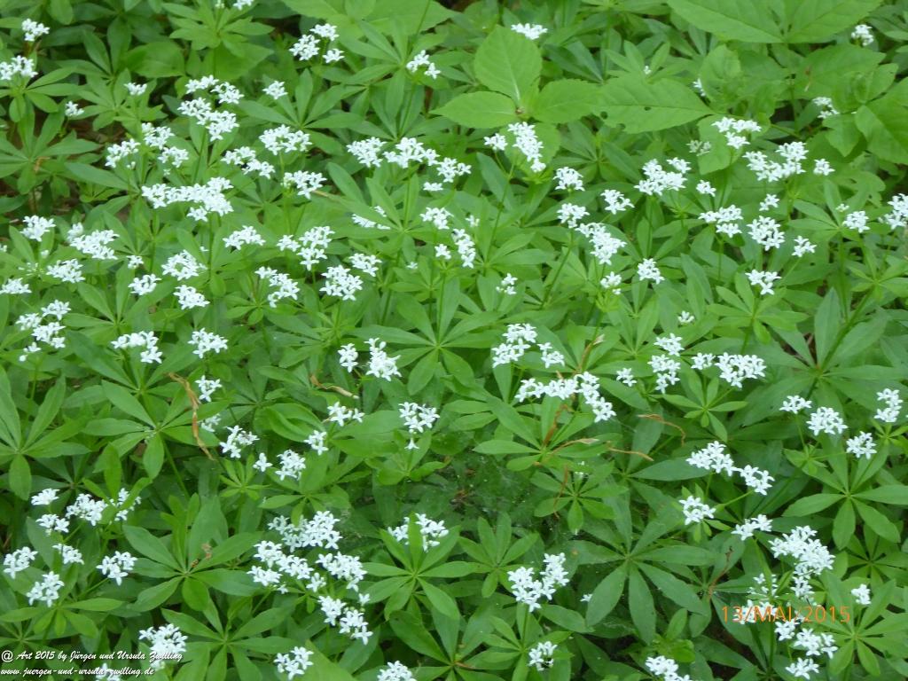 Philosophische Bildwanderung Die Donnersberg-Felsen - Pfalz