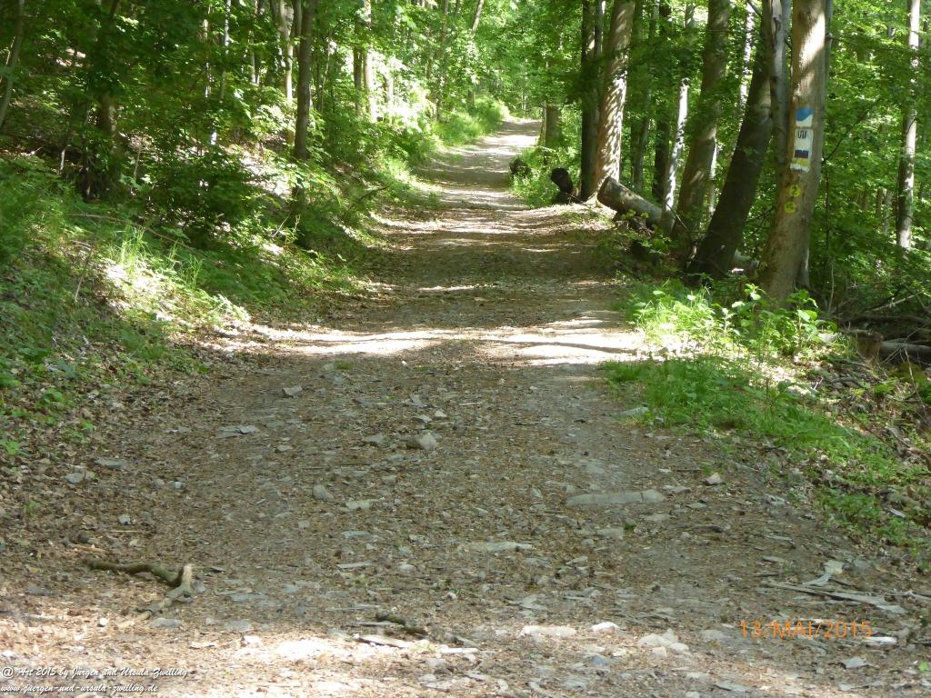 Philosophische Bildwanderung Die Donnersberg-Felsen - Pfalz