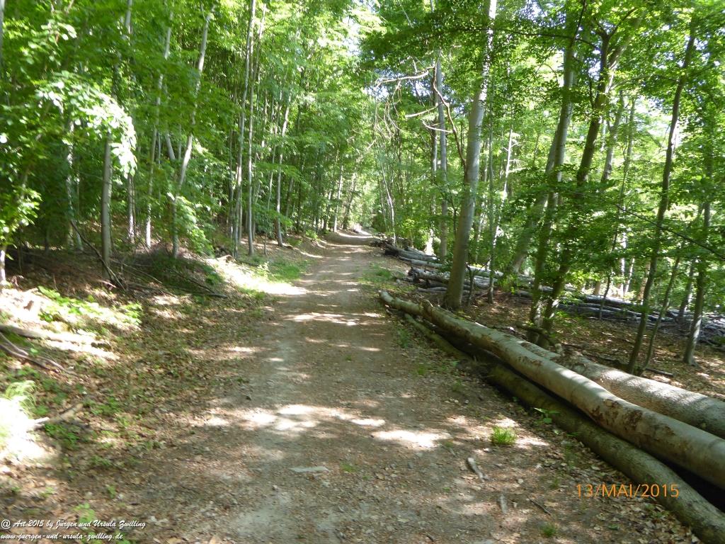 Philosophische Bildwanderung Die Donnersberg-Felsen - Pfalz