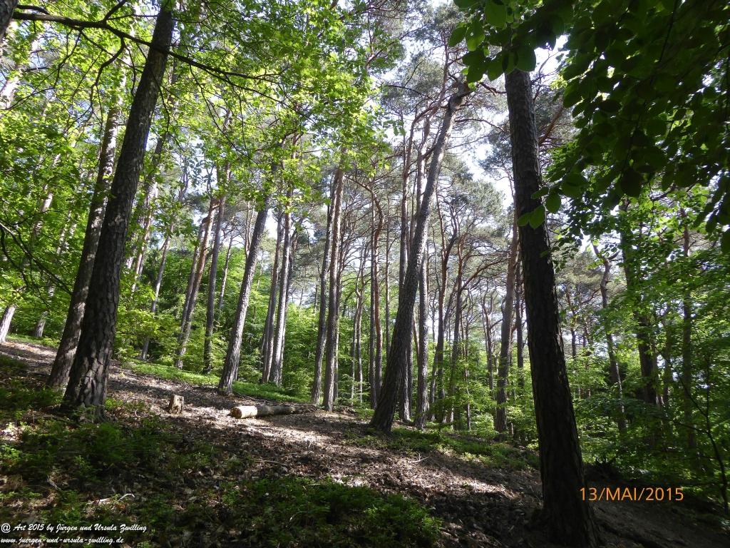 Philosophische Bildwanderung Die Donnersberg-Felsen - Pfalz