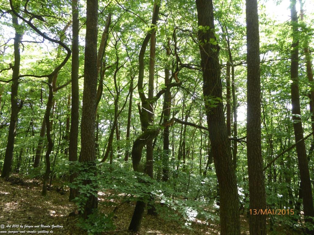 Philosophische Bildwanderung Die Donnersberg-Felsen - Pfalz