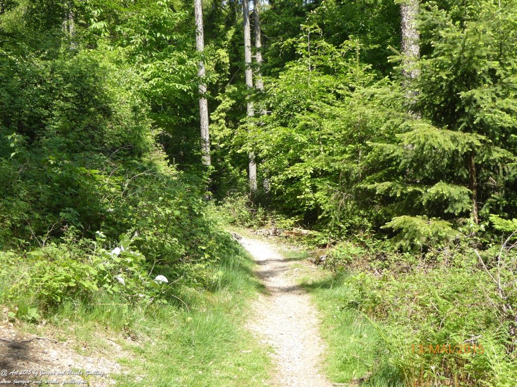 Philosophische Bildwanderung Die Donnersberg-Felsen - Pfalz