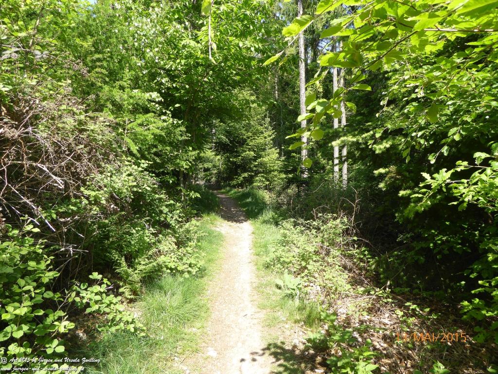 Philosophische Bildwanderung Die Donnersberg-Felsen - Pfalz